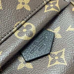 Рюкзак Louis Vuitton Palm Springs