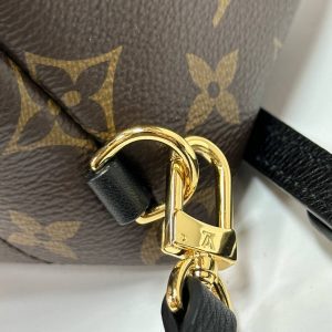 Рюкзак Louis Vuitton Palm Springs