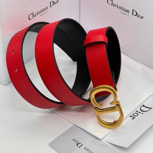 Ремень Dior Saddle