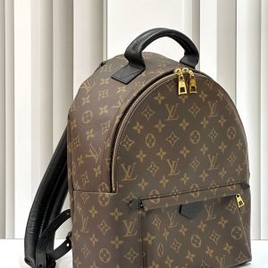 Рюкзак Louis Vuitton Palm Springs