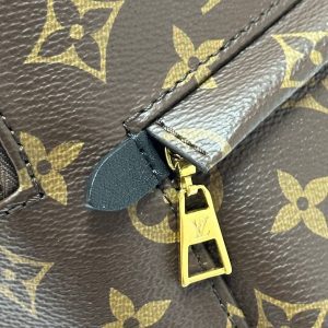 Рюкзак Louis Vuitton Palm Springs