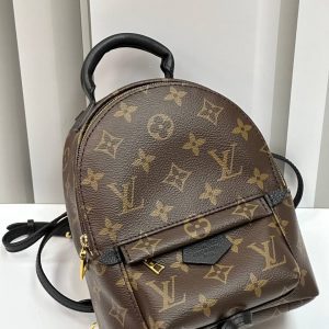 Рюкзак Louis Vuitton Palm Springs