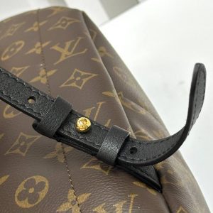 Рюкзак Louis Vuitton Palm Springs