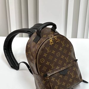 Рюкзак Louis Vuitton Palm Springs