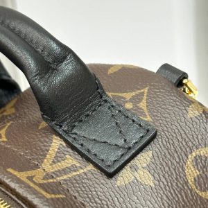 Рюкзак Louis Vuitton Palm Springs