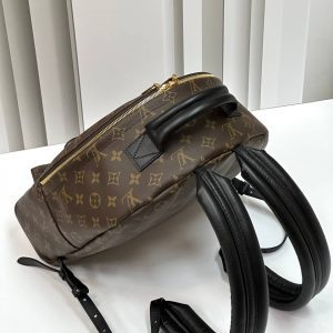 Рюкзак Louis Vuitton Palm Springs