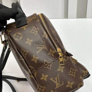 Рюкзак Louis Vuitton Palm Springs