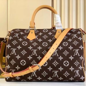 Сумка Louis Vuitton Speedy