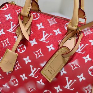 Сумка Louis Vuitton Keepall