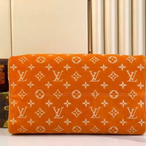 Сумка Louis Vuitton Speedy