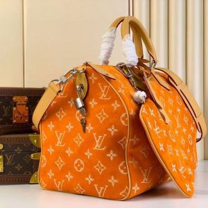 Сумка Louis Vuitton Speedy